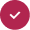 check-icon
